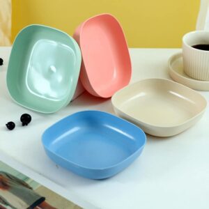 10Pcs Food Grade Plate Plastic Multi-function