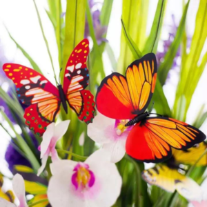 12PCS Butterfly Fridge Magnets